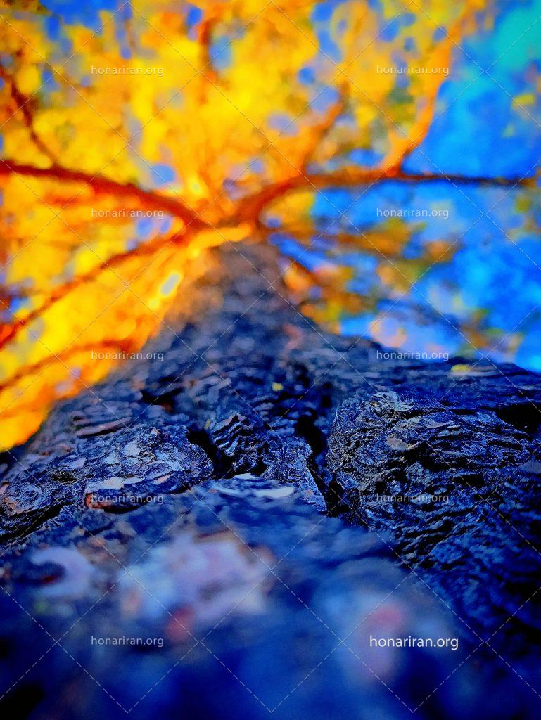 قطعه عکس طبیعت زیبا