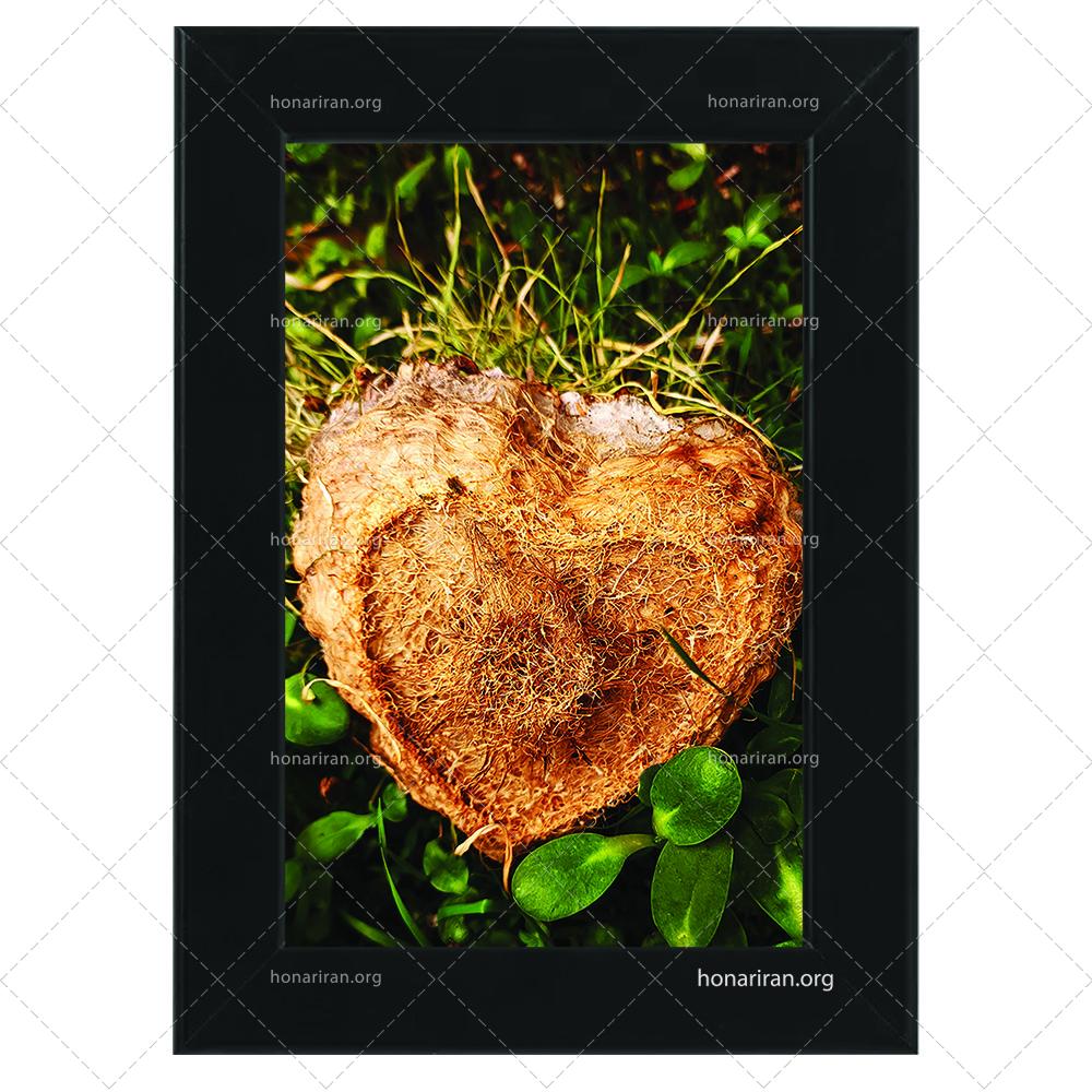 قطعه عکس سبزه ی عاشق