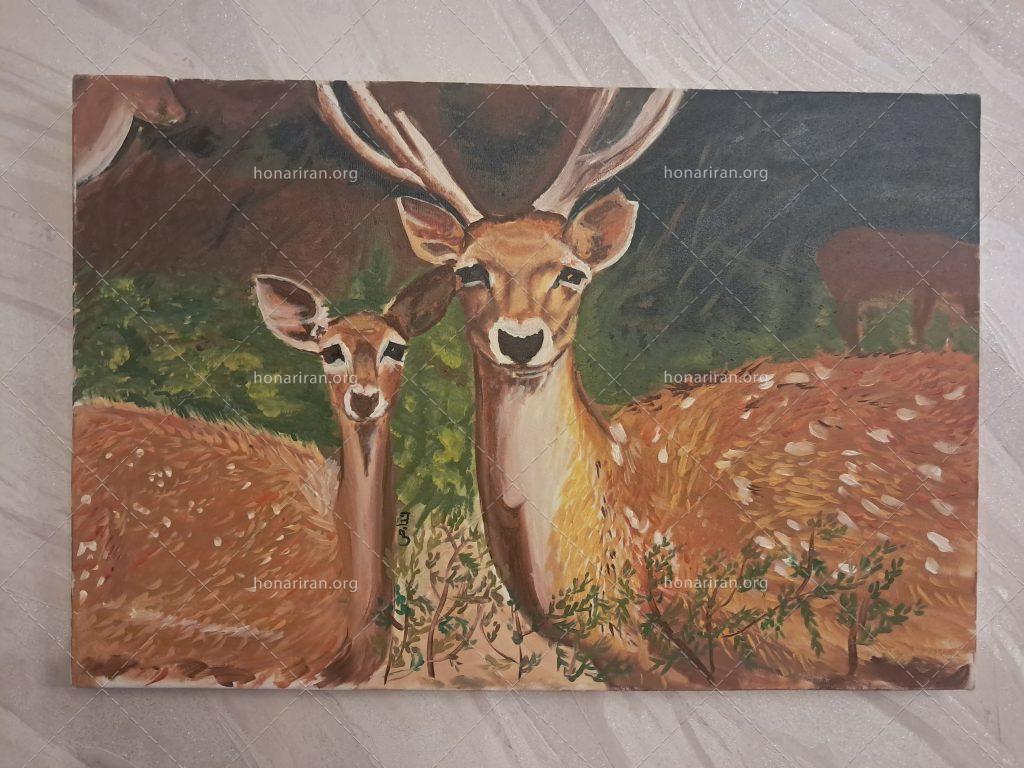 نقاشی رنگ روغن آهوی ایرانی