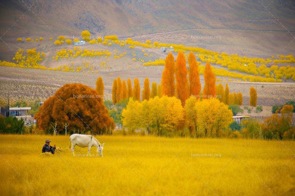 تابلو نقاشی تنهایی پیرمرد