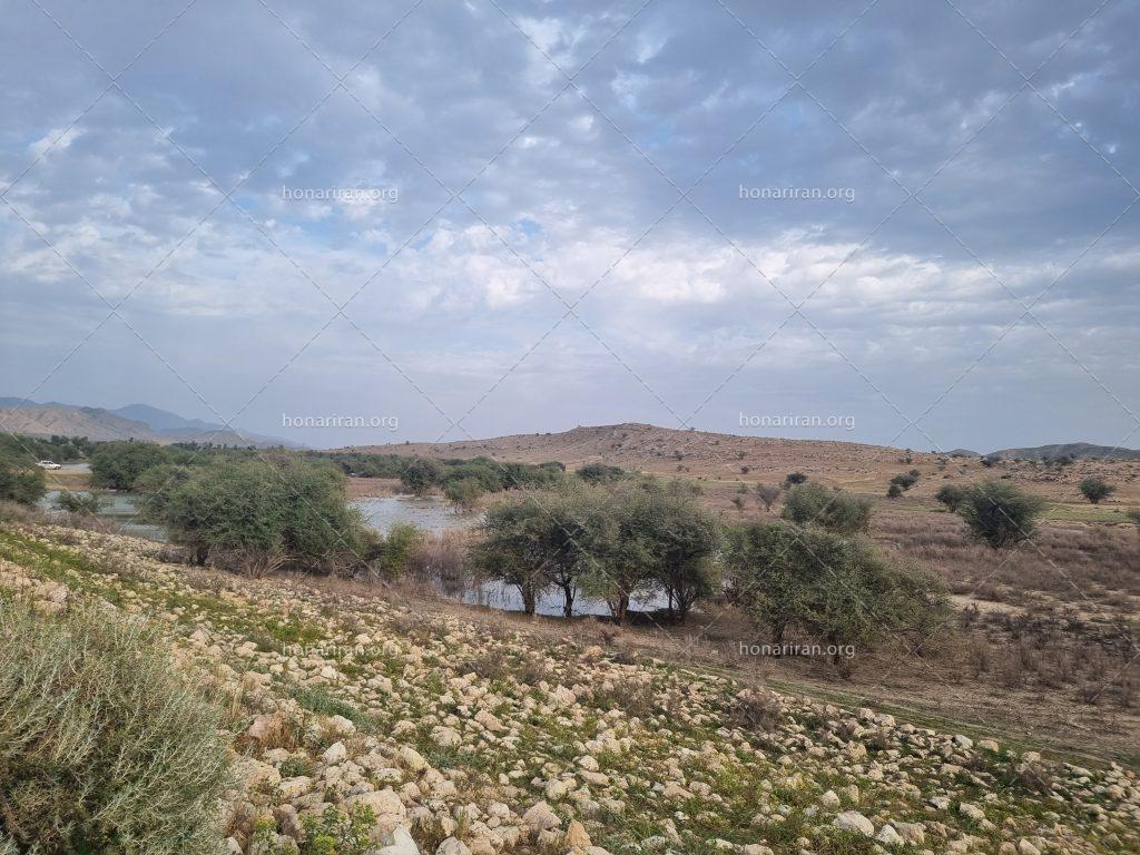 قطعه عکس نقاشی طبیعت