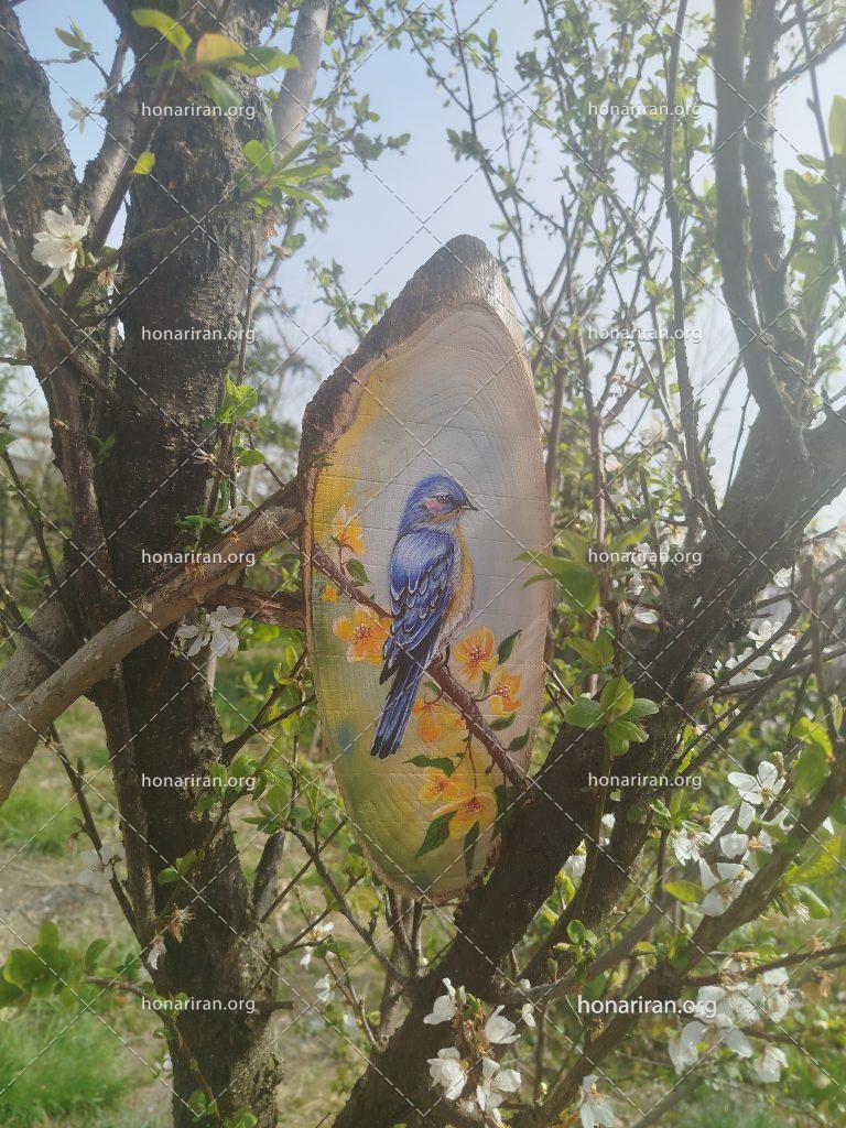 نقاشی اکریلیک پرستو