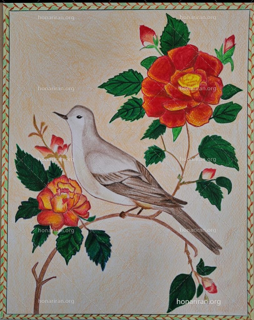نقاشی مداد رنگی گل و مرغ