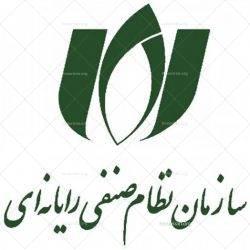 نظام صنفی رایانه ای