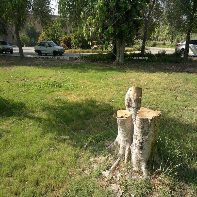 قطعه عکس طبیعت