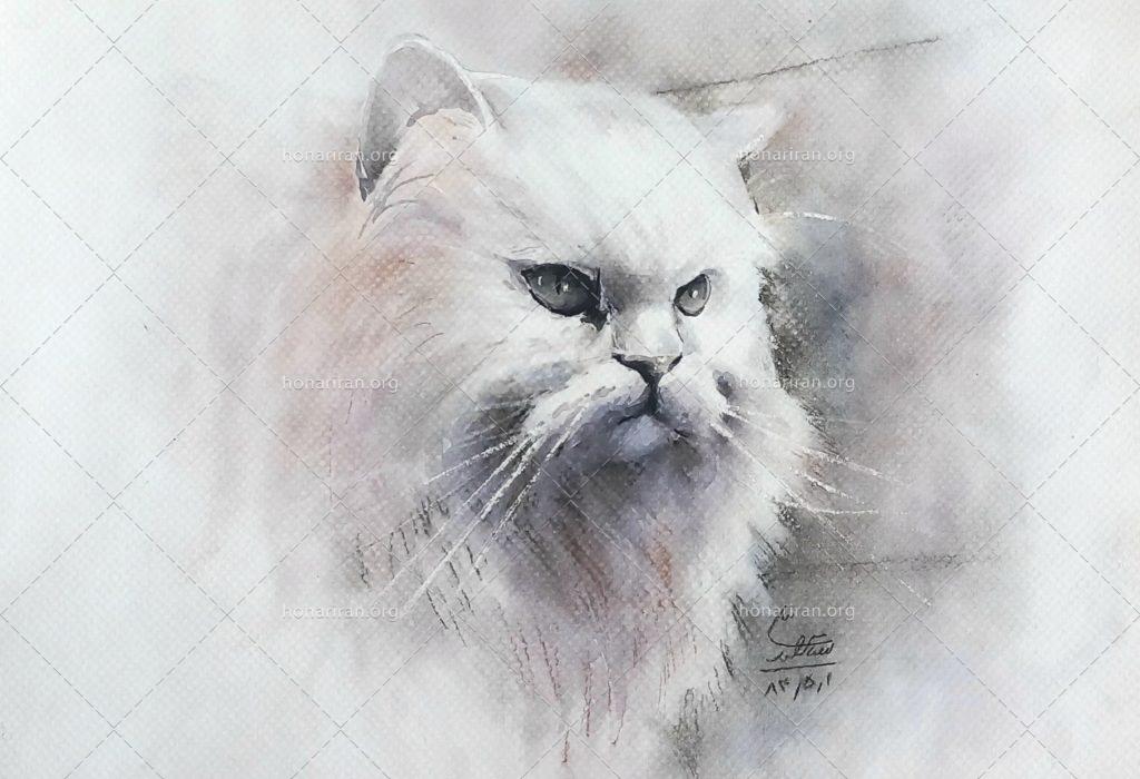 تابلو آبرنگ گربه ایرانی